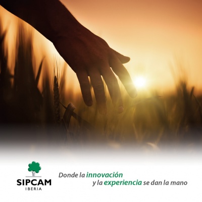 Sipcam. Corporativo